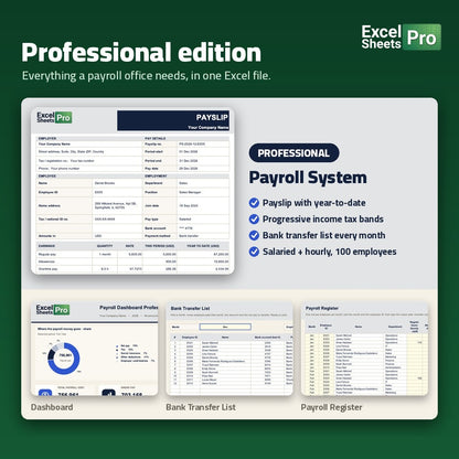 Payroll System Professional - what is inside